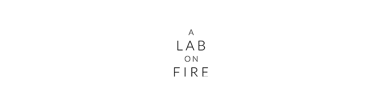 A Lab on Fire